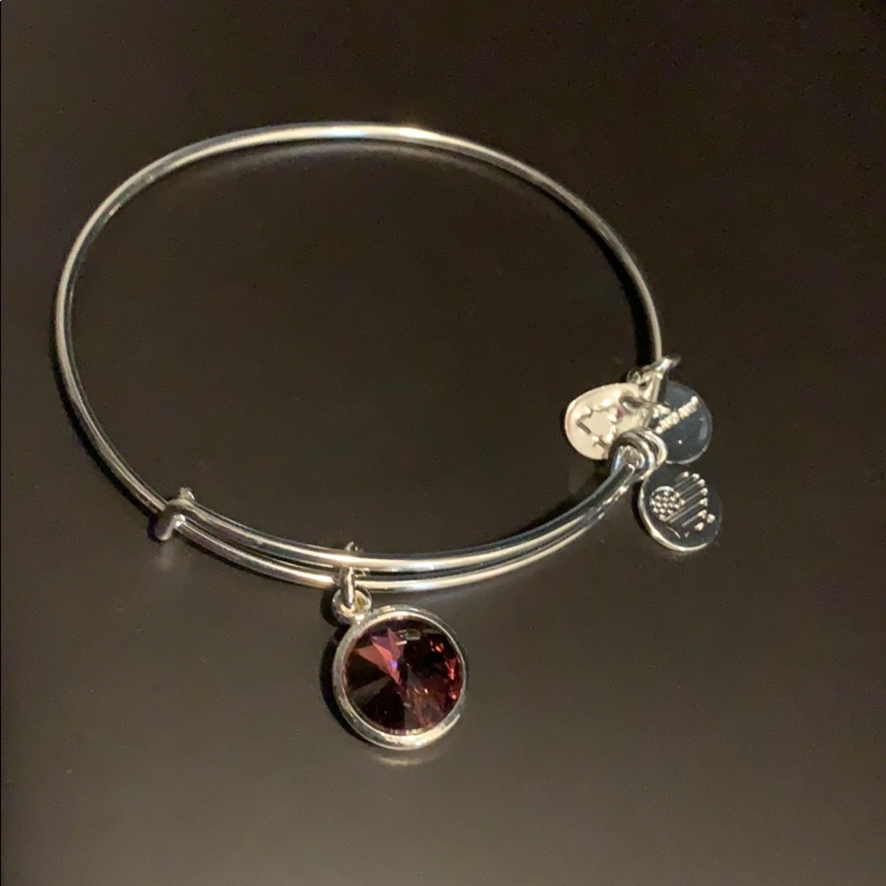NWOT Alex & Ani birthstone bangle, February